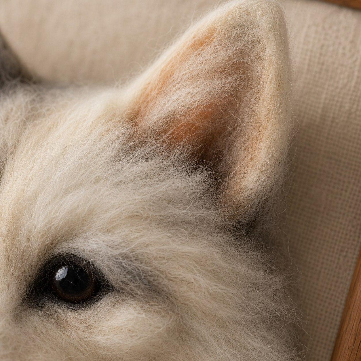 A macro detail of soft wool-felt pet fur texture.